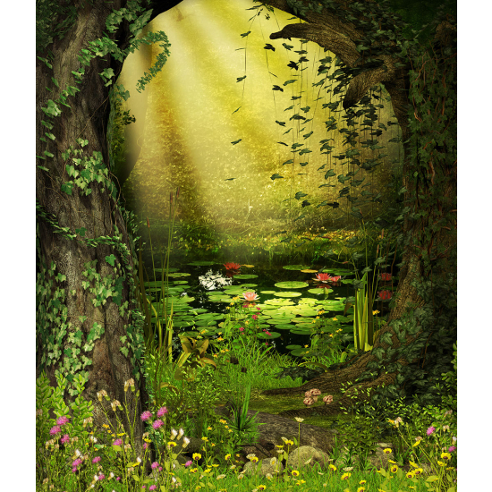Papier peint panoramique Enfants - Étang féerique