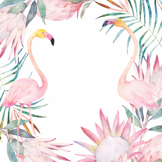 Papier peint panoramique Enfants - Flamants roses