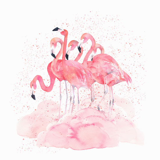 Papier peint panoramique Enfants - Flamants roses