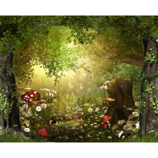 Papier peint panoramique Enfants - Forêt Enchantée