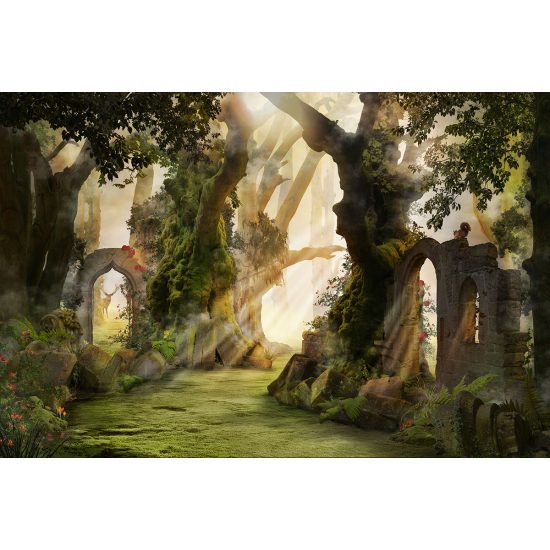 Papier peint panoramique Enfants - Forêt enchantée