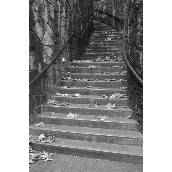 Papier peint panoramique - Escaliers