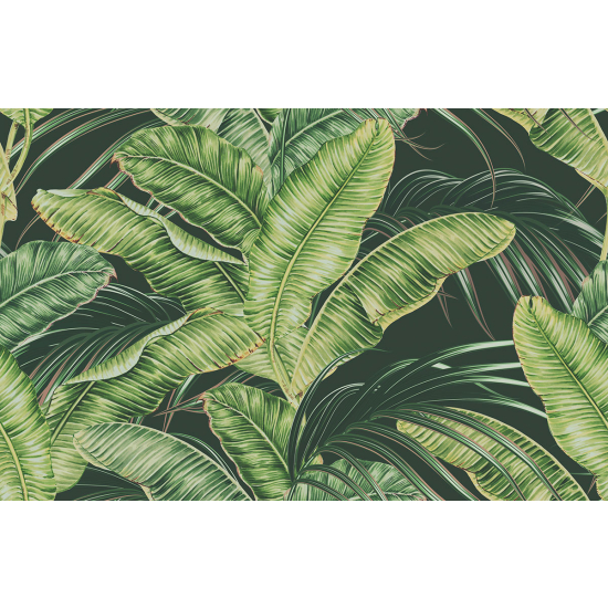 Papier peint panoramique - Feuilles tropicales