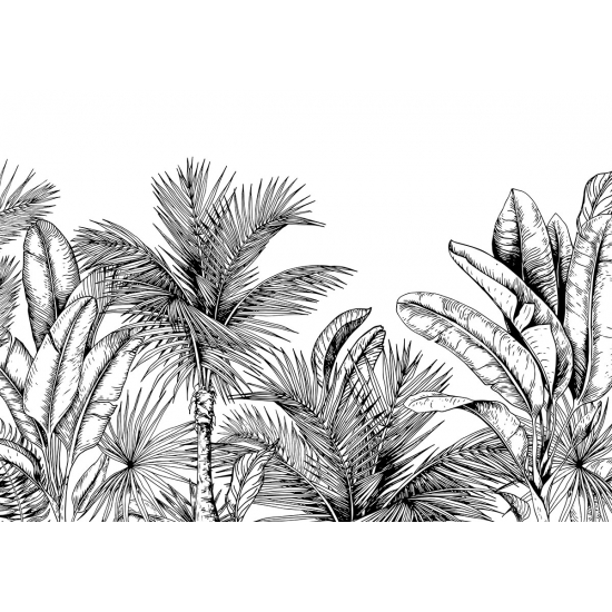 Papier peint panoramique - Feuilles tropicales