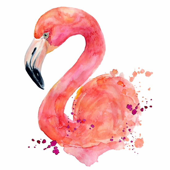 Papier peint panoramique - Flamant rose