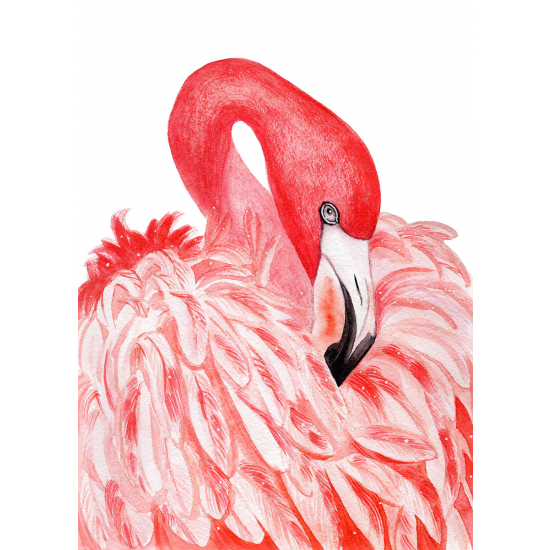 Papier peint panoramique - Flamant rose