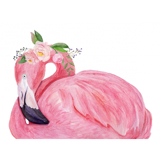 Papier peint panoramique - Flamant rose Fleurs