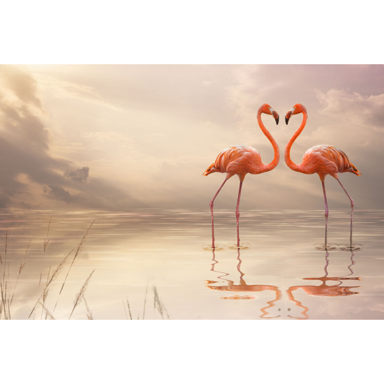 Papier peint panoramique - Flamants roses