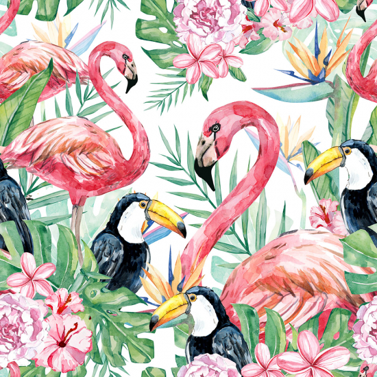 Papier peint panoramique - Flamants roses toucans