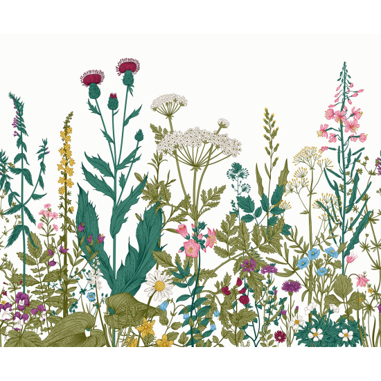 Papier peint panoramique - Fleurs
