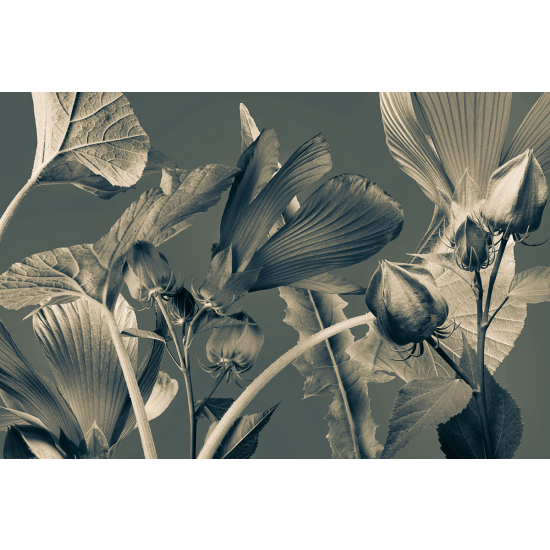 Papier peint panoramique - Fleurs