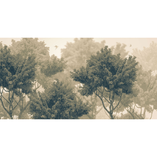 Papier peint panoramique - Forêt
