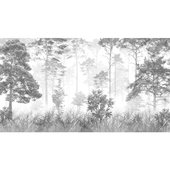 Papier peint panoramique - Forêt