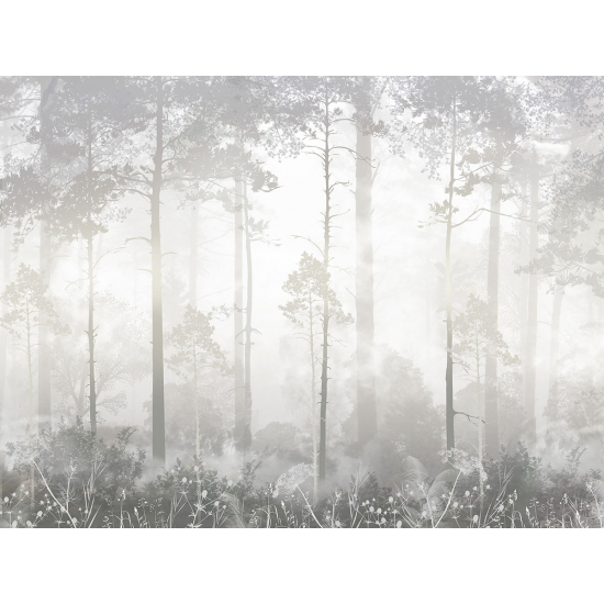 Papier peint panoramique - Forêt