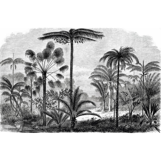 Papier peint panoramique - Forêt tropicale