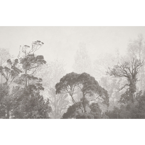 Papier peint panoramique - Forêt Tropicale