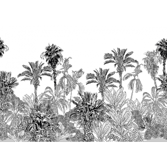 Papier peint panoramique - Forêt tropicale
