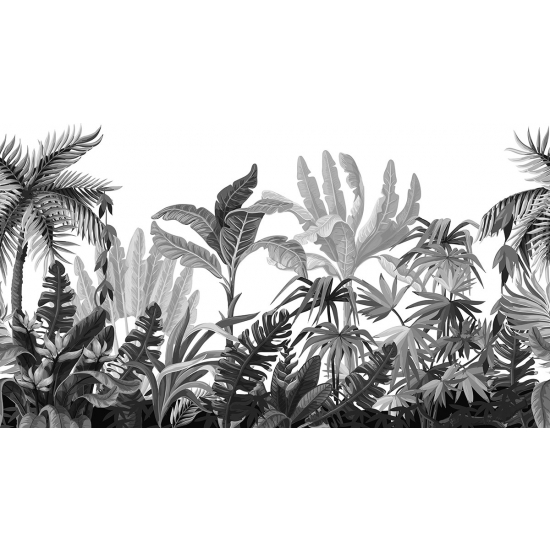 Papier peint panoramique - Forêt tropicale