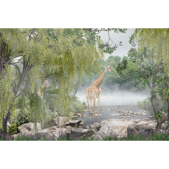 Papier peint panoramique - Girafes