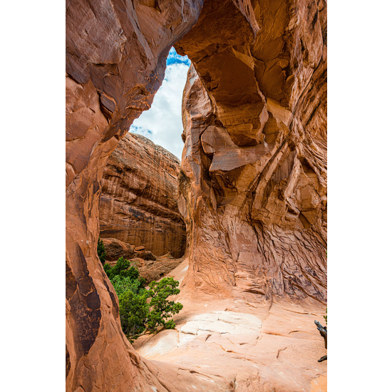 Papier peint panoramique - Grand Canyon Arizona