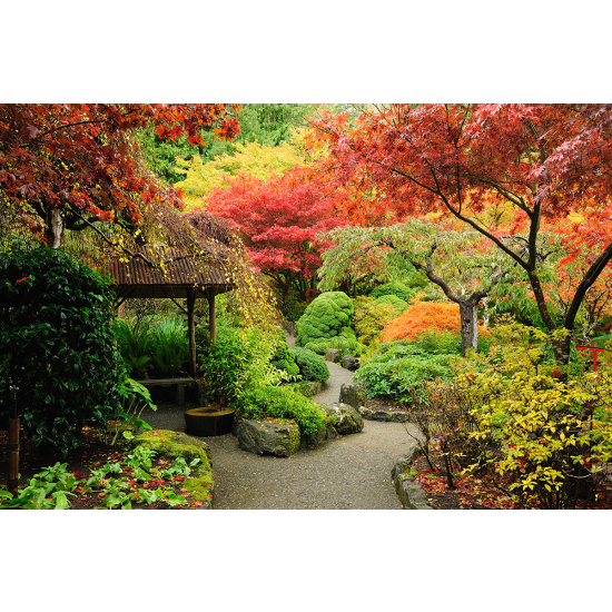 Papier peint panoramique - Jardin japonais