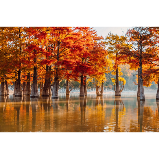 Papier peint panoramique - Lac Automne
