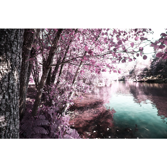 Papier peint panoramique - Lac et arbres