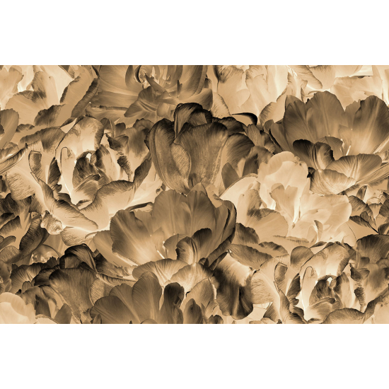 Papier peint panoramique - Moderne
