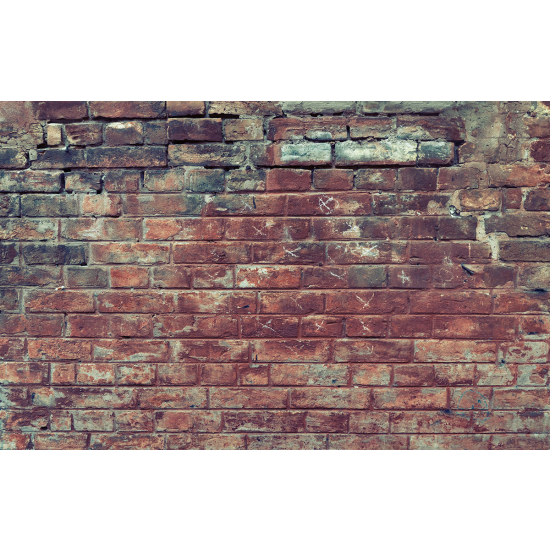 Papier peint panoramique - Mur
