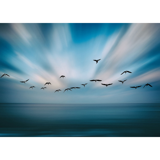 Papier peint panoramique - Oiseaux