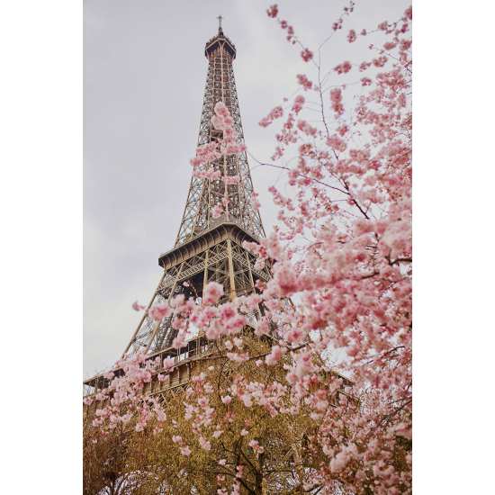 Papier peint panoramique - Paris Tour Eiffel
