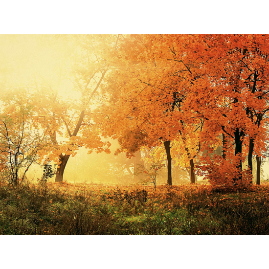 Papier peint panoramique - Paysage Automne