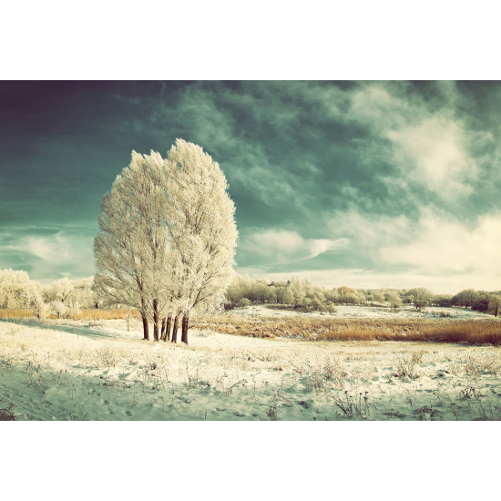 Papier peint panoramique - Paysage Hiver