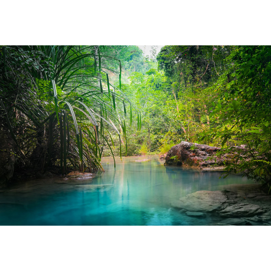 Papier peint panoramique - Piscine naturelle