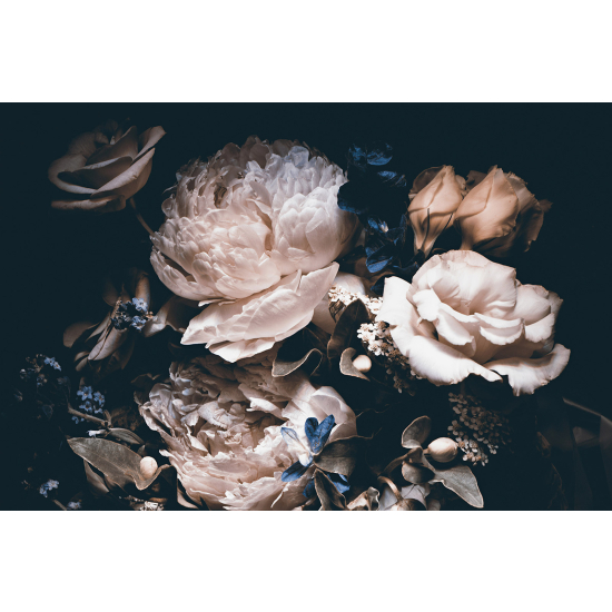 Papier peint panoramique - Pivoines