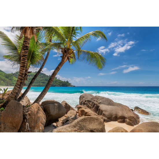 Papier peint panoramique - Plage Cocotiers