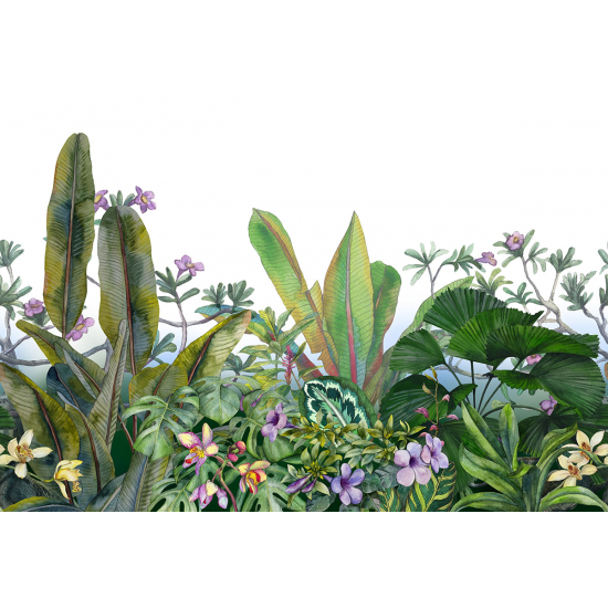 Papier peint panoramique - Plantes tropicales