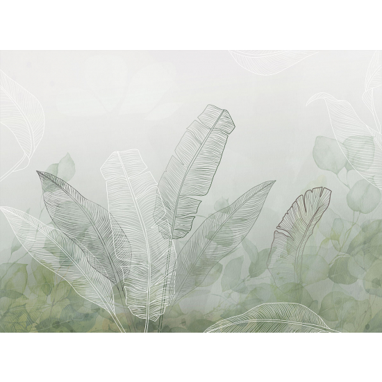 Papier peint panoramique - Plantes tropicales