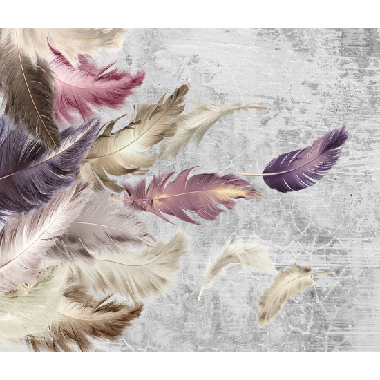 Papier peint panoramique - Plumes
