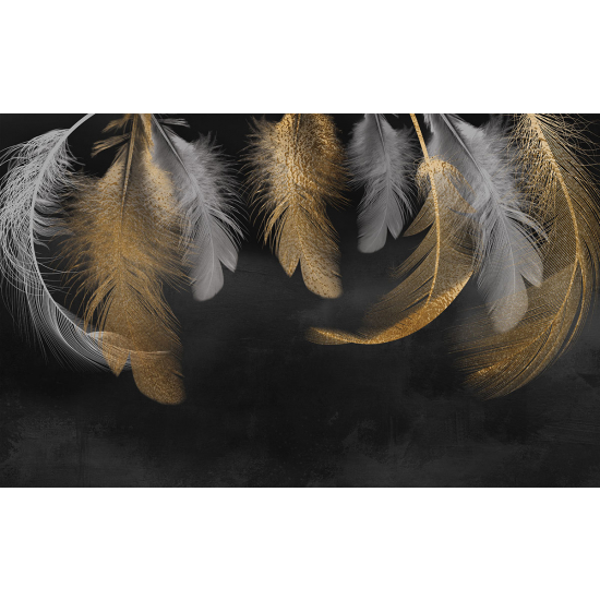 Papier peint panoramique - Plumes