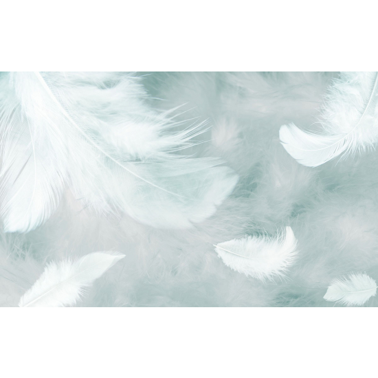 Papier peint panoramique - Plumes