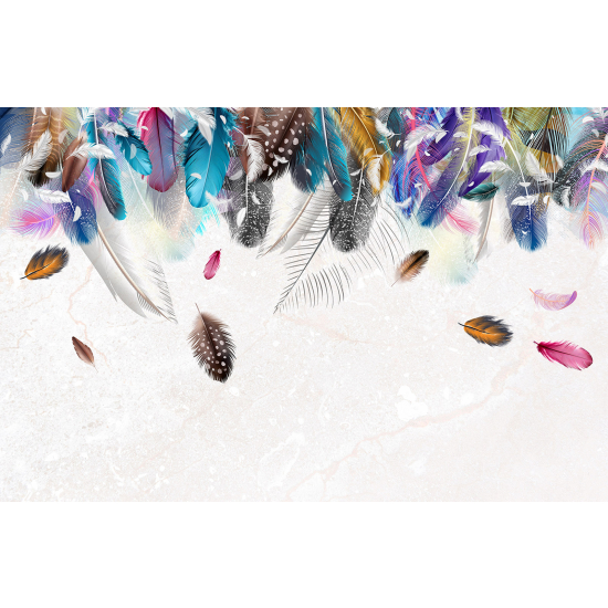 Papier peint panoramique - Plumes