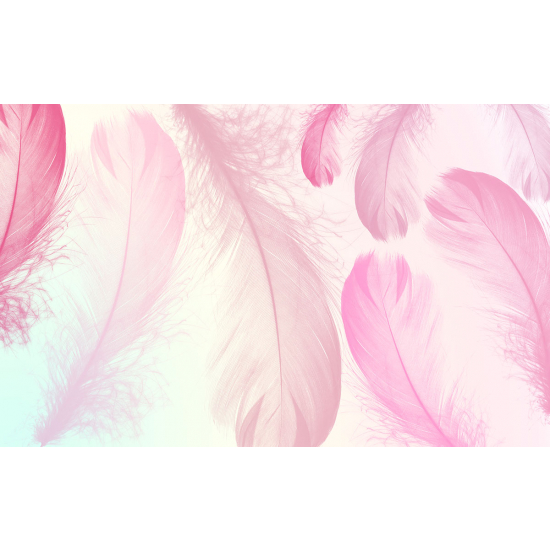 Papier peint panoramique - Plumes roses
