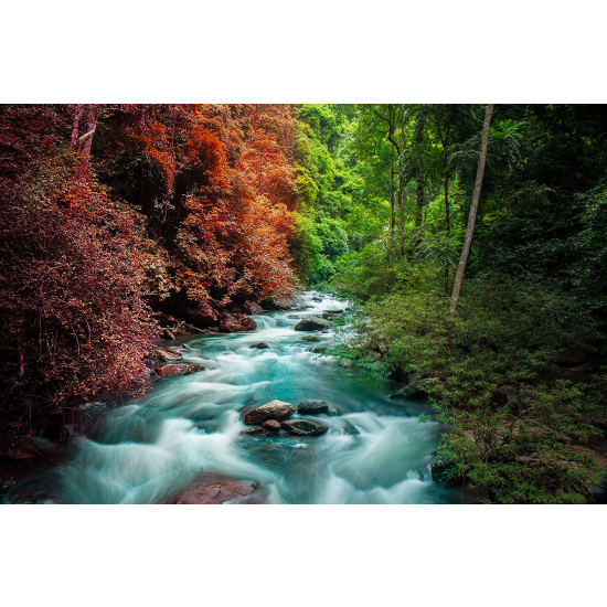 Papier peint panoramique - Rivière
