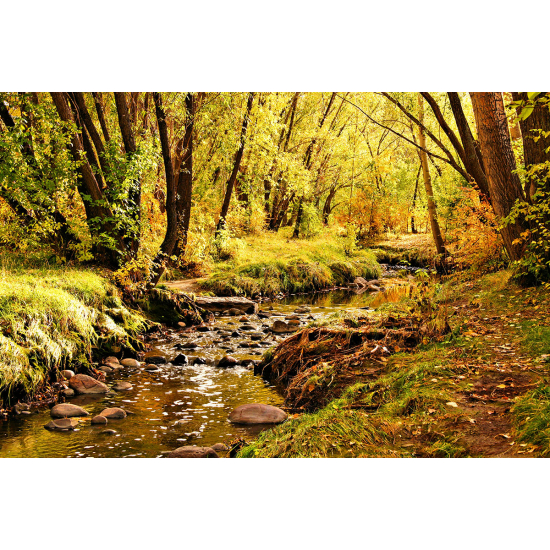 Papier peint panoramique - Rivière Automne