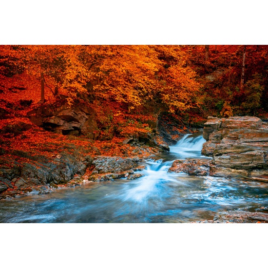 Papier peint panoramique - Rivière Automne