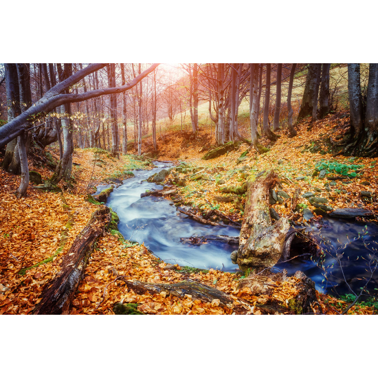 Papier peint panoramique - Rivière Automne