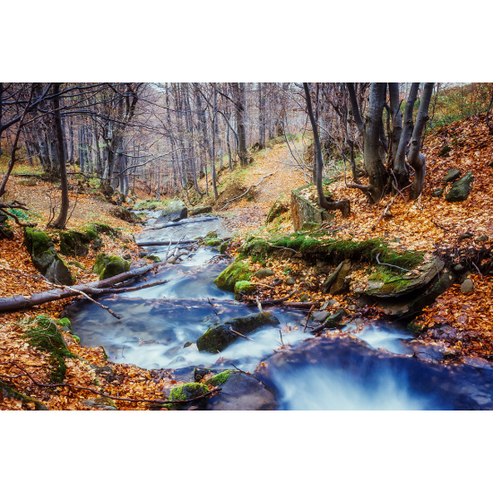 Papier peint panoramique - Rivière Automne