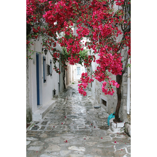Papier peint panoramique - Ruelle fleurie