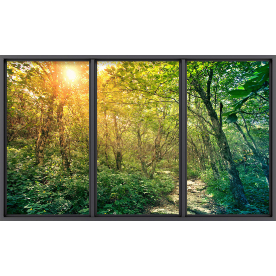 Papier peint panoramique Trompe l'œil baie vitrée - Chemin forêt